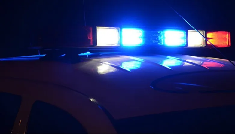 Foc de armă pentru prinderea unor hoți care au încercat să fugă de poliție