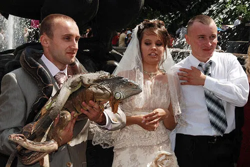Cele mai proaste fotografii pe care mirele şi mireasa le-au realizat la nunţi. S-au făcut de râs