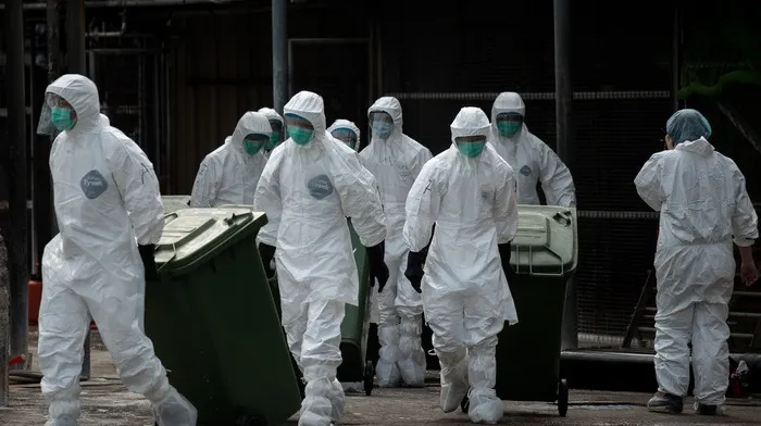 A fost confirmat primul caz de gripă aviară în Polonia 