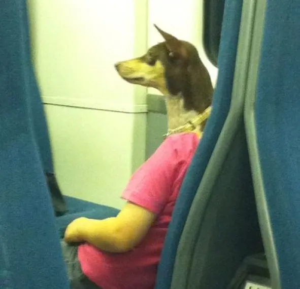 Cele mai mari CIUDĂŢENII care s-au întâlnit în metrou. Călătorii au crezut că nu văd bine