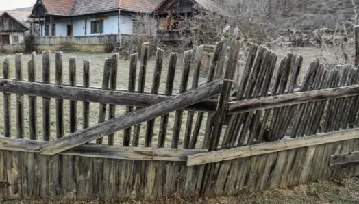Scene uluitoare, în Timiş. Au vrut să jefuiască o casă, dar n-au găsit bani. Cu ce au plecat hoţii