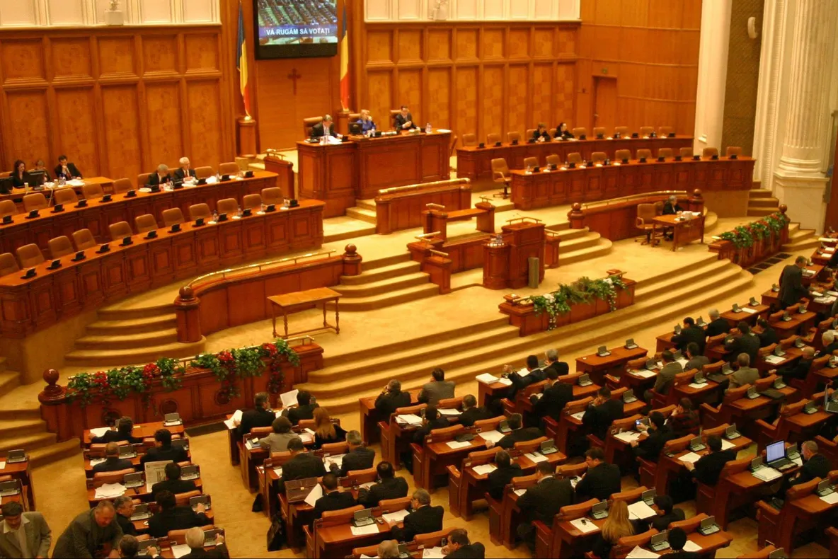 Nicolicea, despre OUG 13: Există posibilitatea ca legea de respingere să fie neconstituţională!