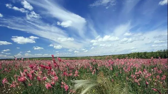 Cum va fi vremea în weekend. Anunţul de ultimă oră de la meteorologi