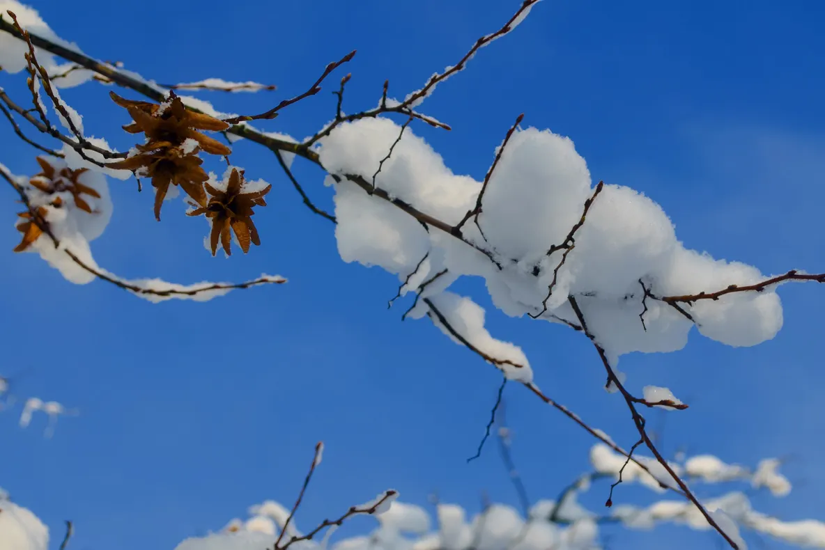 Vremea se schimbă din nou. Ce temperaturi vor fi de Valentine's Day