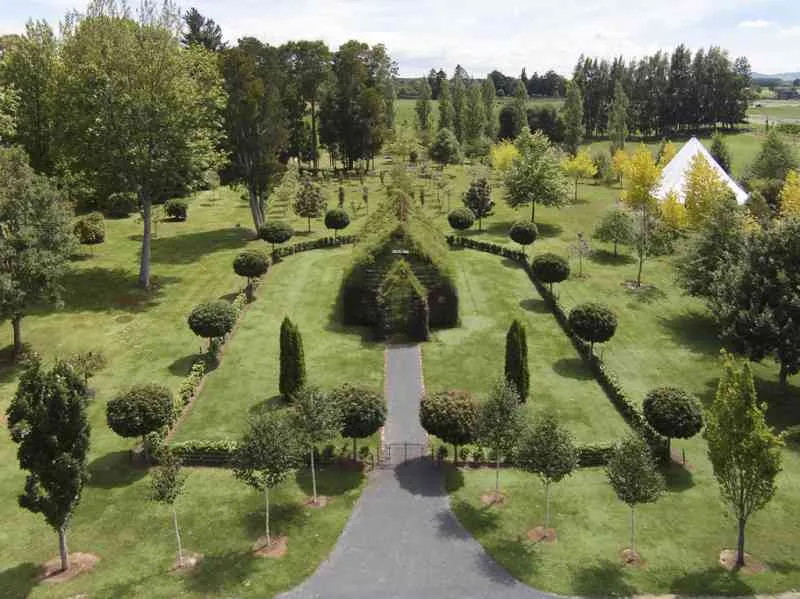A construit o biserică numai din brazi naturali. Cum arată lăcaşul de cult VIU