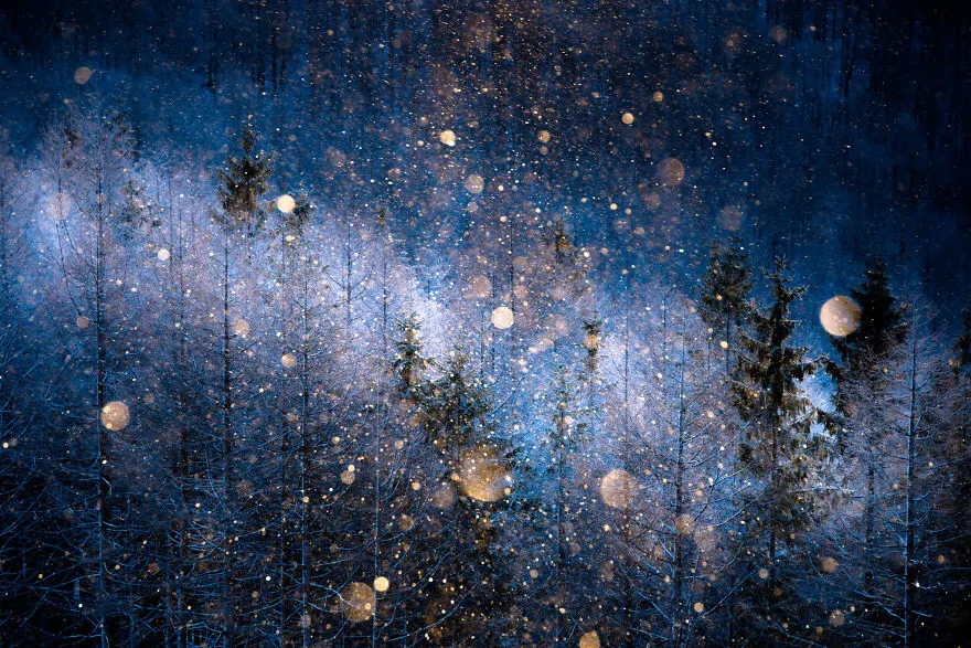 Finaliștii concursului “Sony World Photography” 2017: aceste imagini îți vor tăia răsuflarea