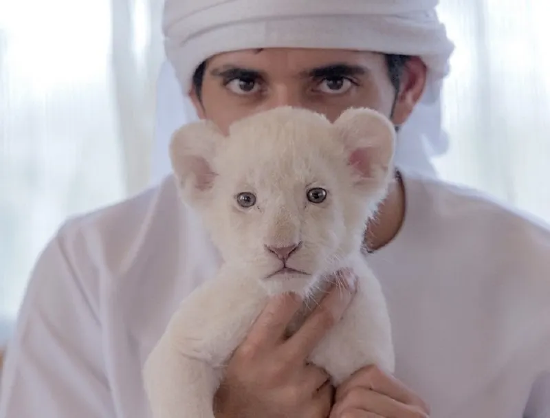 Așa arată o zi din viața fabuloasă a prințului moștenitor din Dubai. O viață din altă lume