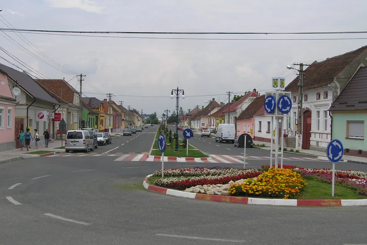 În acest oraș din România ești obligat să plantezi copaci dacă vrei să-ți construiești o casă
