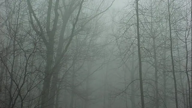 Vin ploile și se răcește vremea. Prognoza meteo pentru sâmbătă, duminică și luni