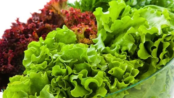 Adevărul despre salata creaţă. Nu o să mai mănânci niciodată după ce vei afla ce este de fapt!