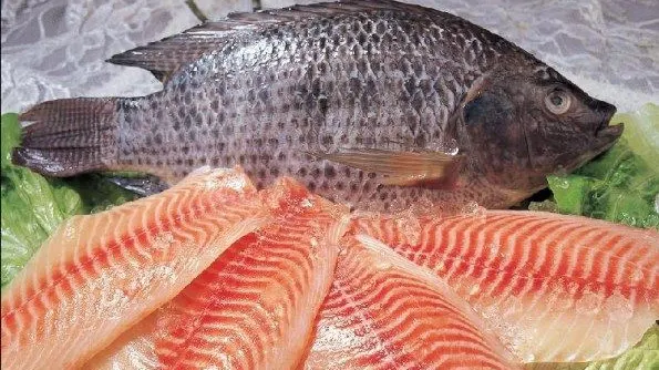 Peştele pe care nu ar trebui să-l mai consumi vreodată! Este hrănit cu fecale de pui