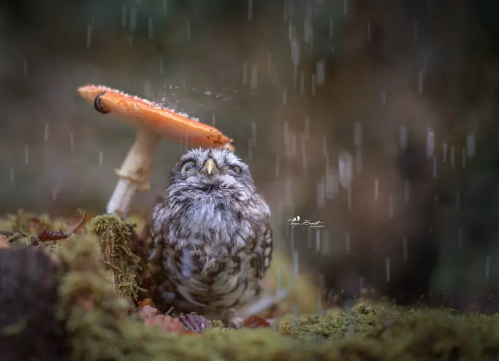 Top 10 fotografii care vor avea un impact semnificativ asupra ta! Rămâi uimit