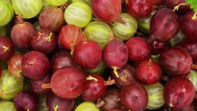 Aceste fructe mici sunt adevărate bombe de vitamine. Ce beneficii miraculoase au agrișele 