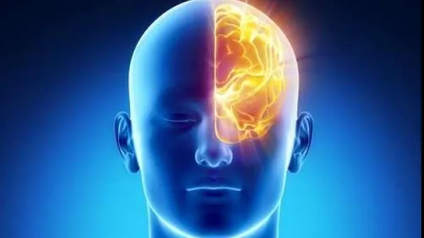 Vrei să devii mai deștept? Fă asta zilnic și funcțiile cognitive se vor îmbunătăți