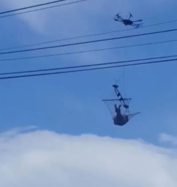 Și-a prins un hamac de dronă și s-a culcat în el. Imagini uluitoare 