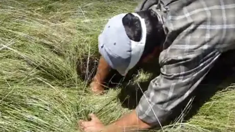 Se auzeau zgomote ciudate dintr-o groapă. S-au cutremurat când au văzut ce era acolo!