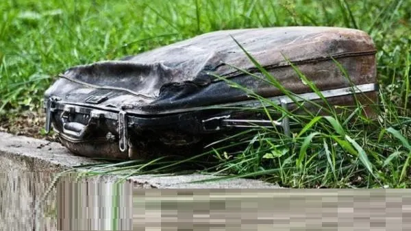 Se plimba prin parc când a văzut valiza veche pe jos. A deschis-o și pur și simplu s-a prăbușit