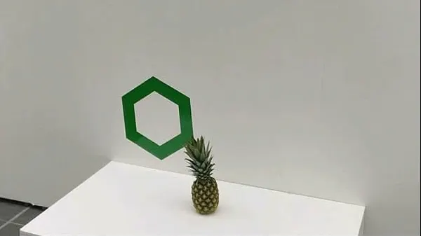 A uitat un ananas într-o galerie de artă. Ce s-a întâmplat a doua zi? Râzi cu lacrimi