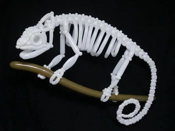 Animale din baloane care au devenit vedetele internetului! Lucrarea unui artist a uimit lumea