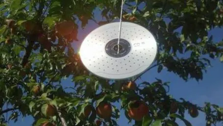 De ce să agăţi un CD la geam, vara? Nimeni nu bănuia că poate face asta
