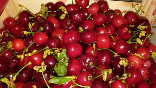 Dieta cu cireșe: Slăbești 5 kilograme în 7 zile