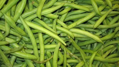 Ce beneficii umitoare ascunde "carnea săracului". Fasolea verde face minuni pentru organism