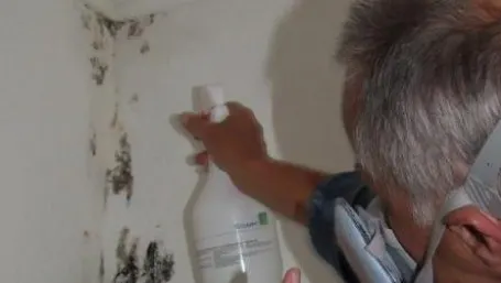 Cum să scapi de mucegai fără ajutorul chimicalelor. Pentru totdeauna!