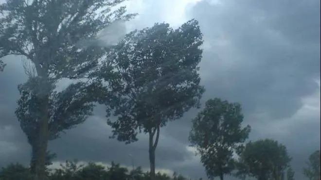 Vin ploile și se face frig cumplit! Prognoza meteo pe două săptămâni 