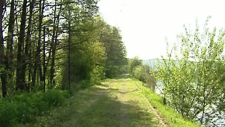 Licitații dubioase. Un domeniu de vis, vândut de lichidatorul Radu Podea cu 72 de bani metrul pătrat