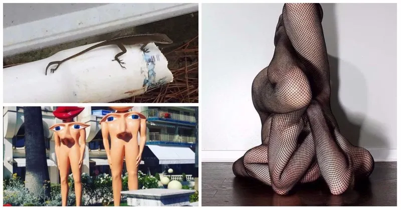 Fotografiile care nici măcar n-ar trebui să existe - sfidează orice LOGICĂ şi par iluzii optice