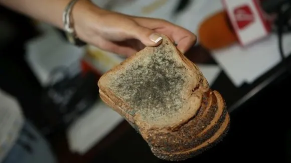 Mucegaiul pe alimente: Când este periculos și când nu