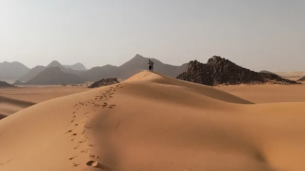 Descoperire înfiorătoare în mijlocul deșertului african