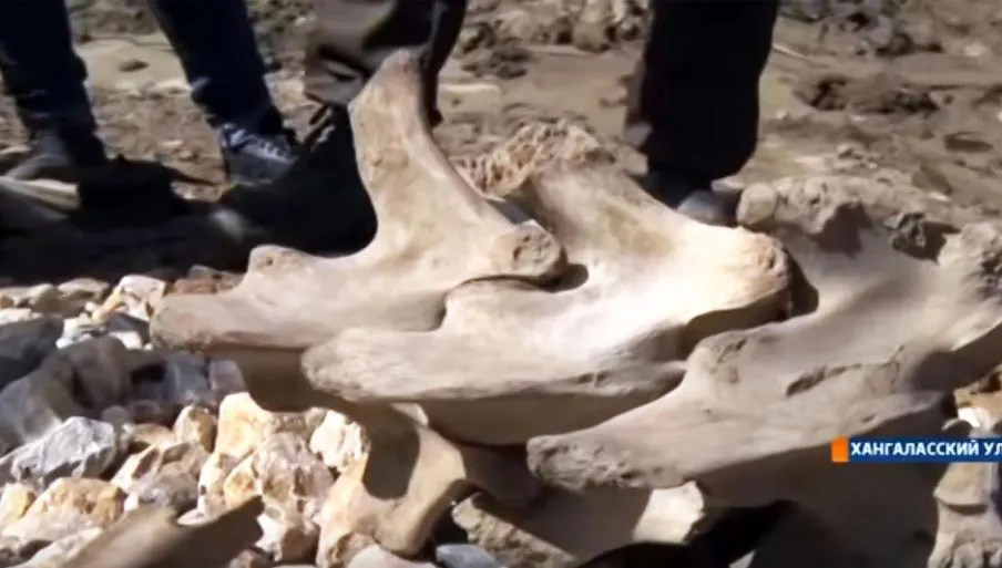 Un grup de copii au făcut o descoperire arheologică fabuloasă. Are peste 25.000 de ani vechime