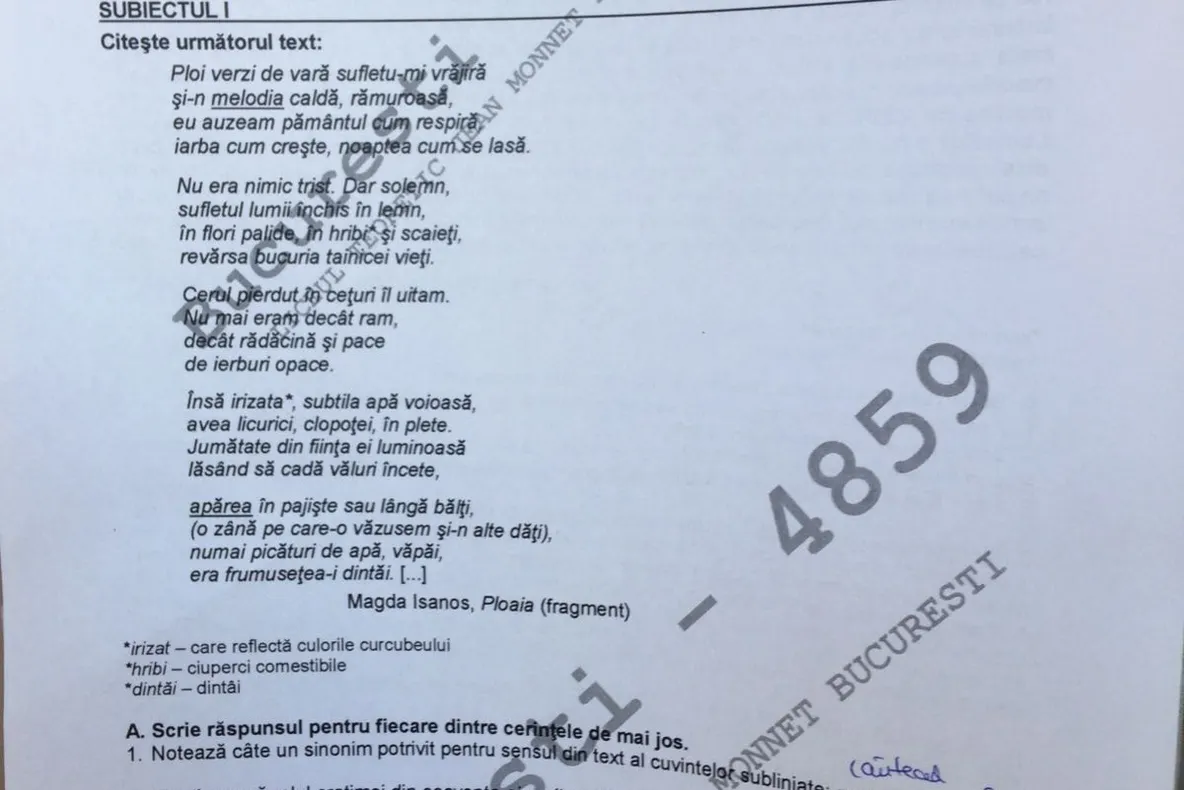 Subiecte ROMÂNĂ Evaluare Naţională 2017: Iată pozele cu subiectele la Română