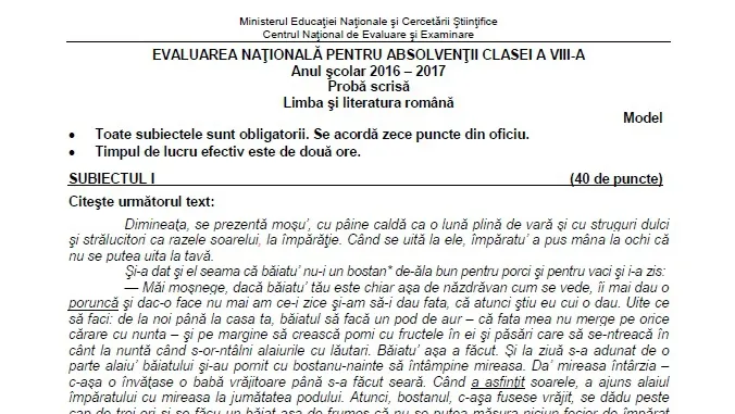 Subiecte Evaluare Naţională 2017 Română. Cum vor arăta subiectele la Română la EVALUARE 2017