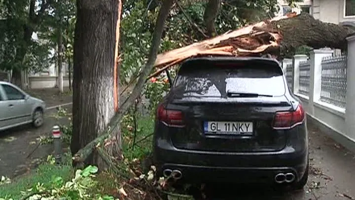 O femeie a murit după ce a fost lovită de un copac căzut. Furtunile au făcut ravagii