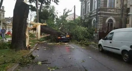 Imagini APOCALIPTICE. Potopul s-a abătut asupra Brăilei: copaci căzuţi, maşini distruse