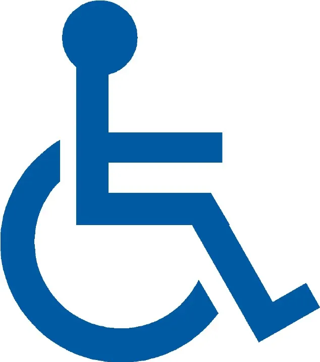 Guvernul, decizie de ultima oră, pentru persoanele cu handicap grav