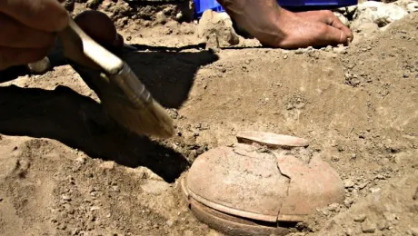 Au găsit o oală veche de 800 de ani, plină cu seminţe. Când au văzut ce a răsărit, au îngheţat! 