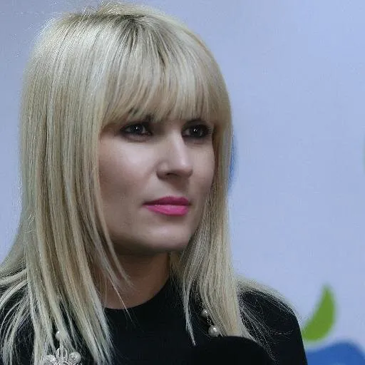 Elena Udrea, la Comisia de Control a SRI: Am venit să spun cum funcţionează "statul paralel"