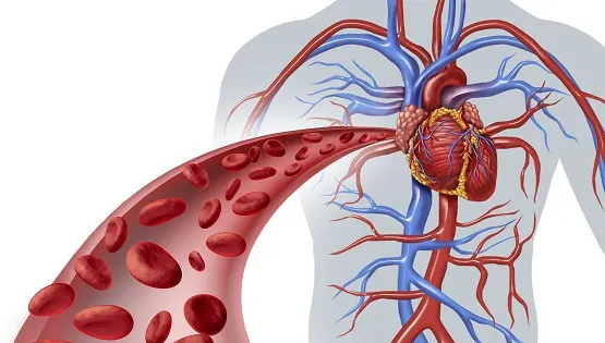  Lucrurile pe care le faci zilnic îmbolnăvesc grav inima! Află cum poți preveni această afecțiune