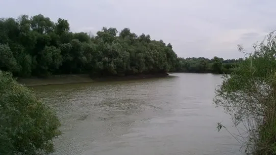 Două cadavre au fost găsite plutind pe râul Prut 
