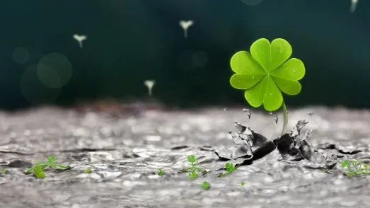 Top 3 zodii care se îmbogăţesc în septembrie. BANII încep să cadă din cer, peste noapte!