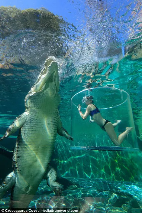 Cea mai NEBUNĂ fotografie din vacanţă?Turiştii plătesc 500 de lei pentru 15 minute în "Cuşca morţii"