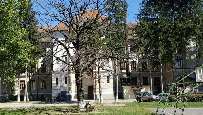 S-a uscat stejarul plantat de Arsenie Boca. "Este semn rău", spun oamenii