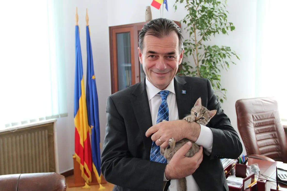 Ludovic Orban, despre variante de nume pentru pisica postată pe Facebook: ”Codruța? E o idee”