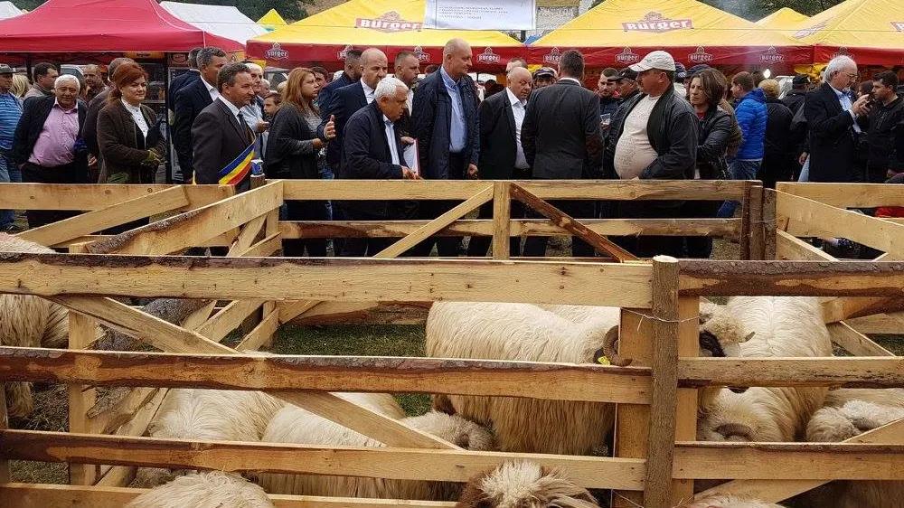 Petre Daea lansează campania "Alege OAIA". Muza ministrului merge pe plan naţional