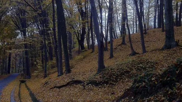 VIDEO. Monstrul care şi-a torturat ore întregi fiul într-o pădure, dus cu forţa la psihiatrie