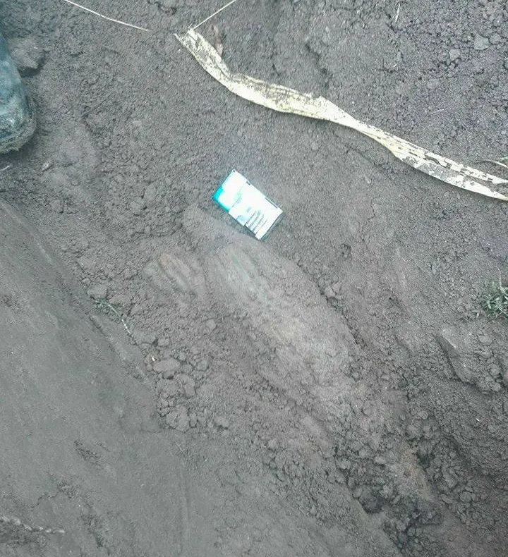 GALERIE FOTO. Descoperire uluitoare făcută de muncitorii CFR