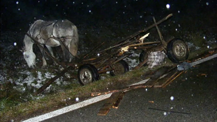 Căruță lovită în plin de o mașină: doi copii și un adult au fost răniți